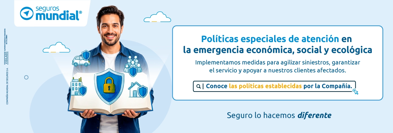 Politicas remisorio
